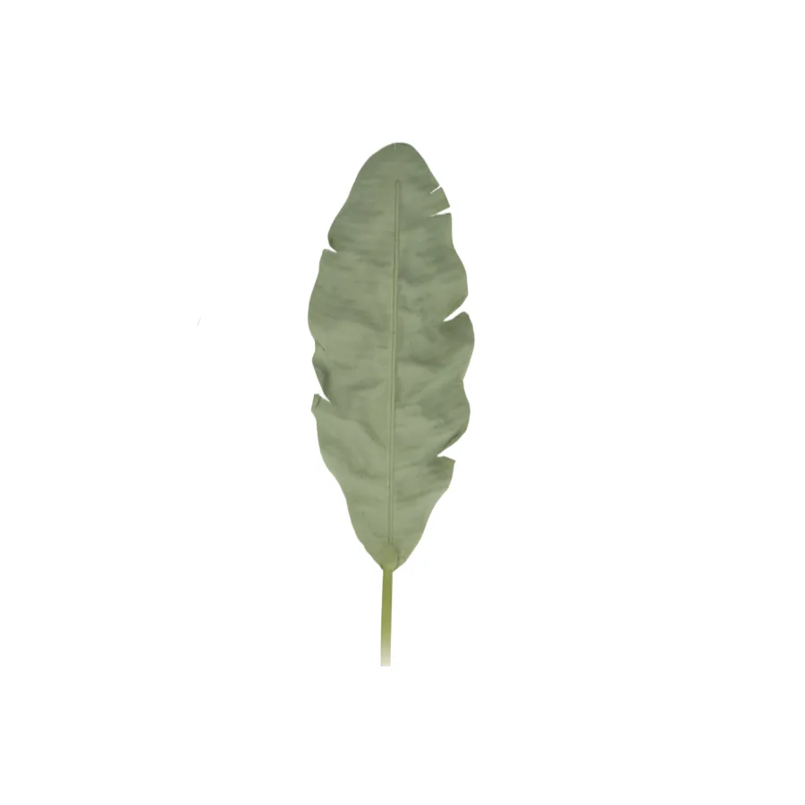 Banana Leaf, 28x5x140, Green