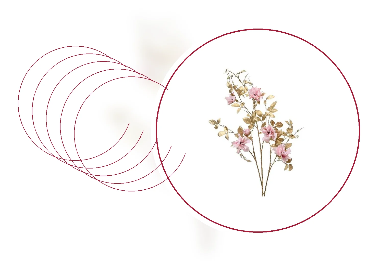 Editorial floral composition representing Valentine's Day roses and romantic bouquets in South Africa